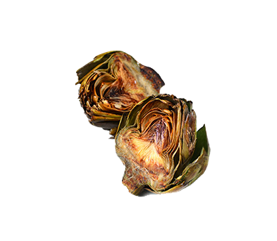 Artichock